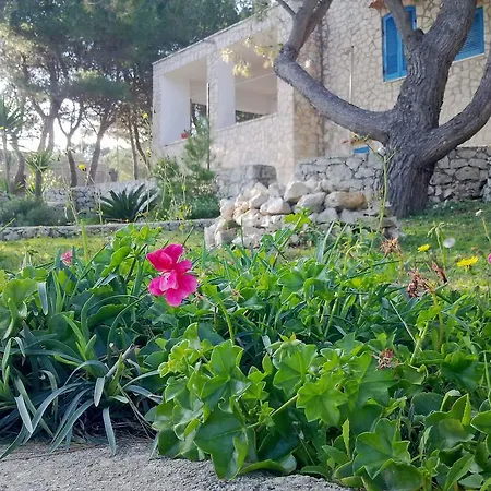 Aquarium Guest house