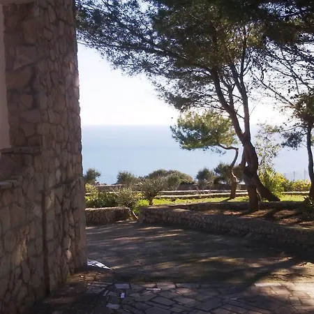 Aquarium Guest house *