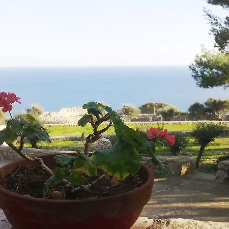 Aquarium Guest house Gagliano del Capo