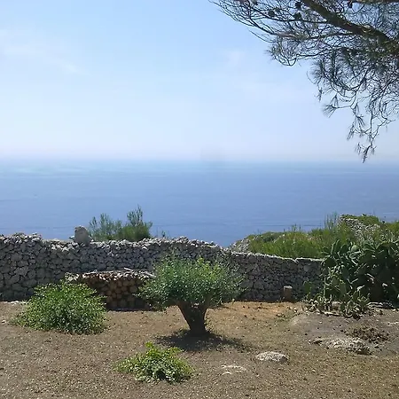 Guest house Aquarium *