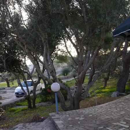 Aquarium Guest house *