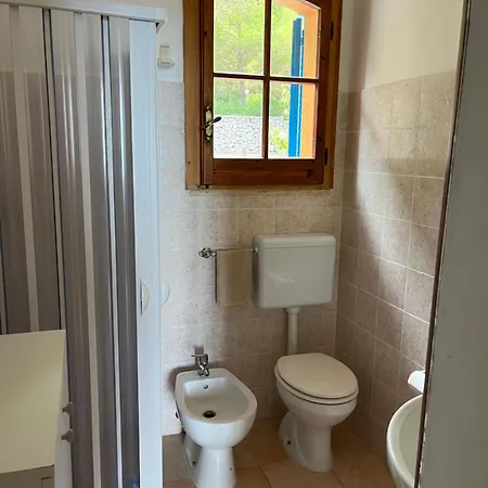 Aquarium Guest house