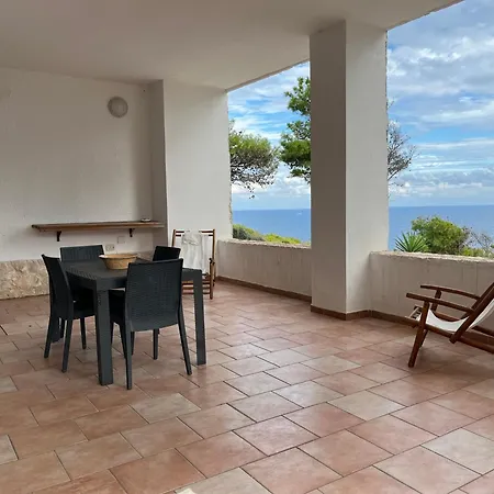 Aquarium Guest house *