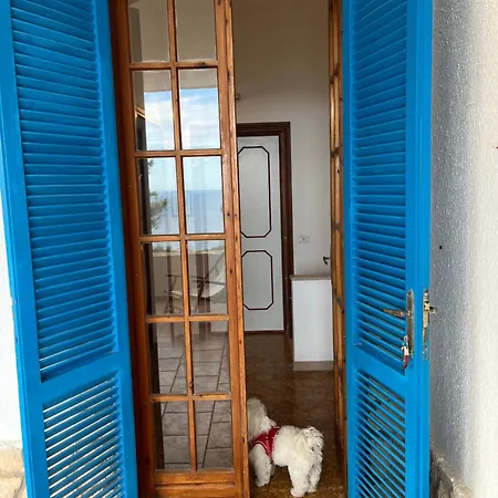 Guest house Aquarium *