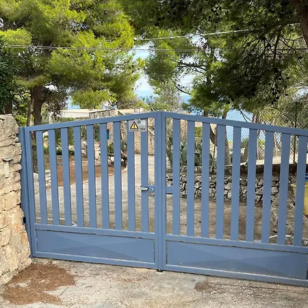 Aquarium Guest house