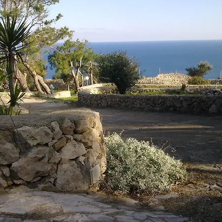 Aquarium Guest house