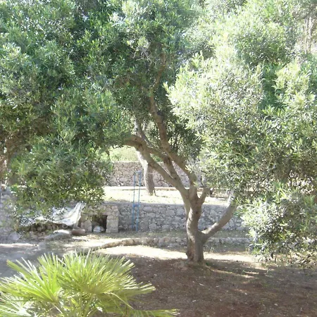 Guest house Aquarium