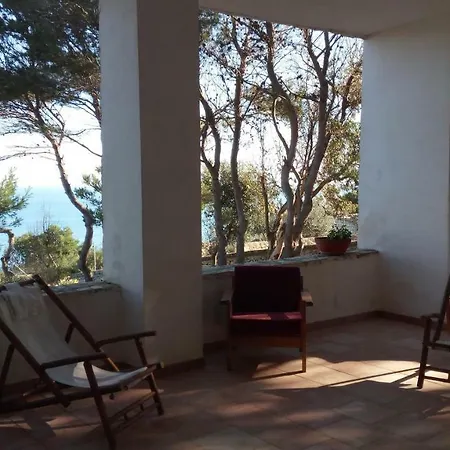 Guest house Aquarium *