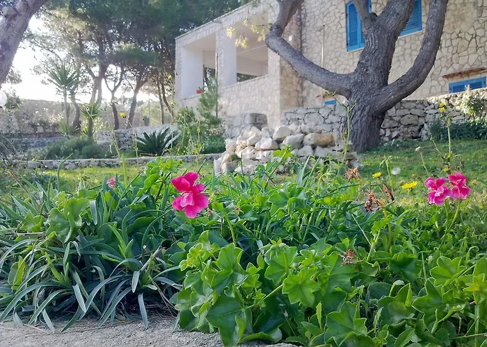 Aquarium בית הארחה