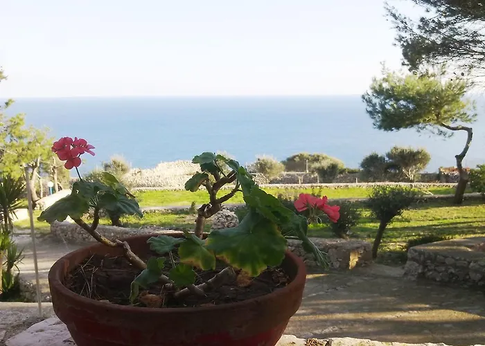 Aquarium בית הארחה גאליאנו דל קאפו