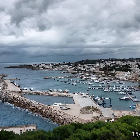 Aquarium Pensión Gagliano del Capo
