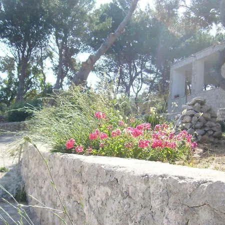 Aquarium *
